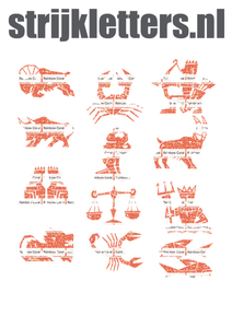 Vel Strijkletters Sterrenbeelden Glitter Rainbow Coral Glitter ST - afb. 1