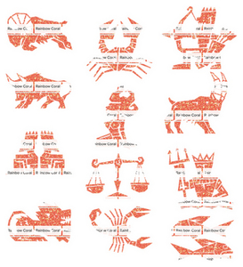 Vel Strijkletters Sterrenbeelden Glitter Rainbow Coral Glitter ST - afb. 2