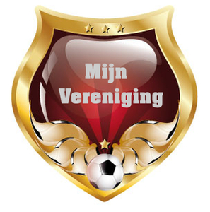 Vereniging logo Flex Zilver - afb. 1